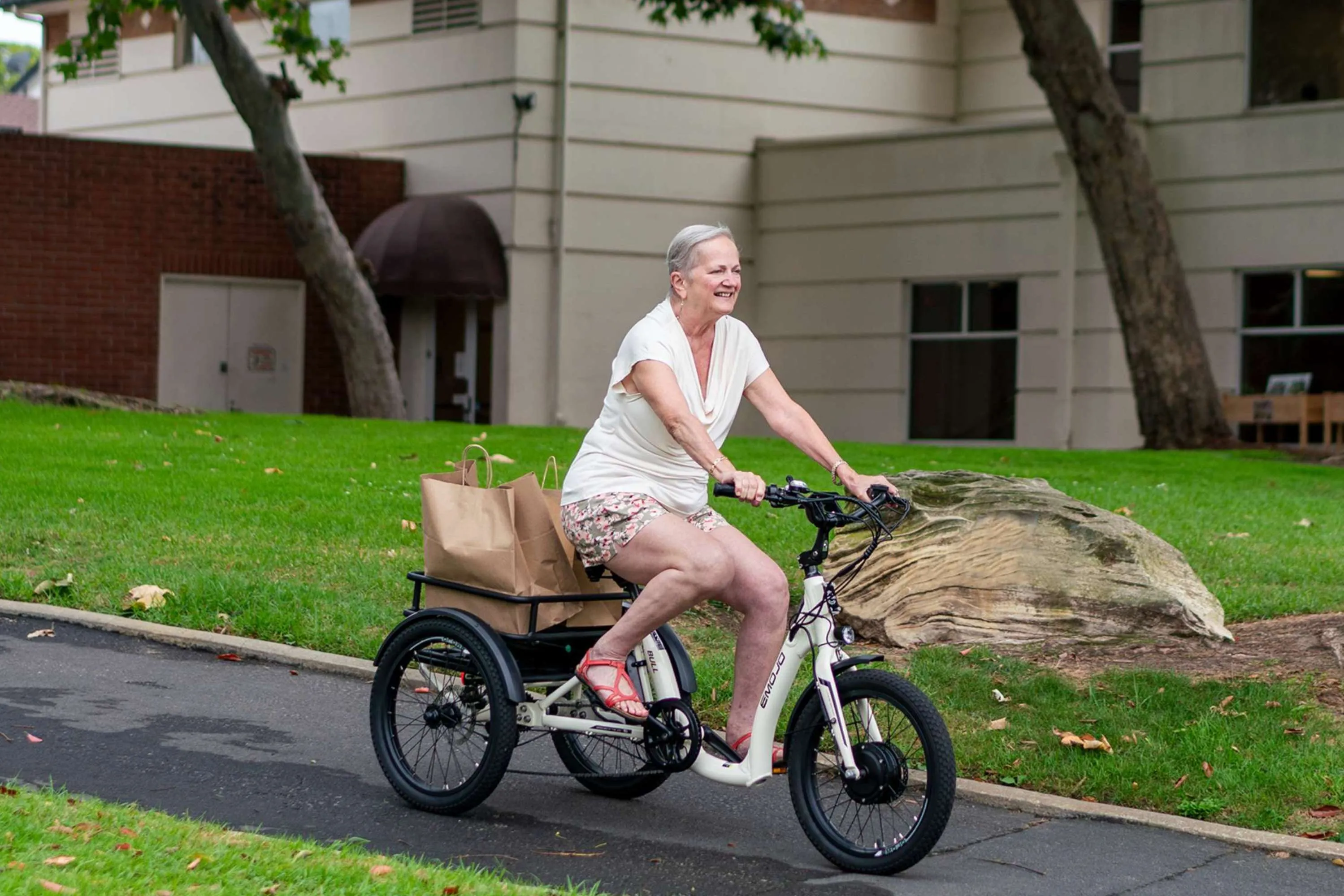 Emojo Bull 48v 500w Fat Tire Electric Trike