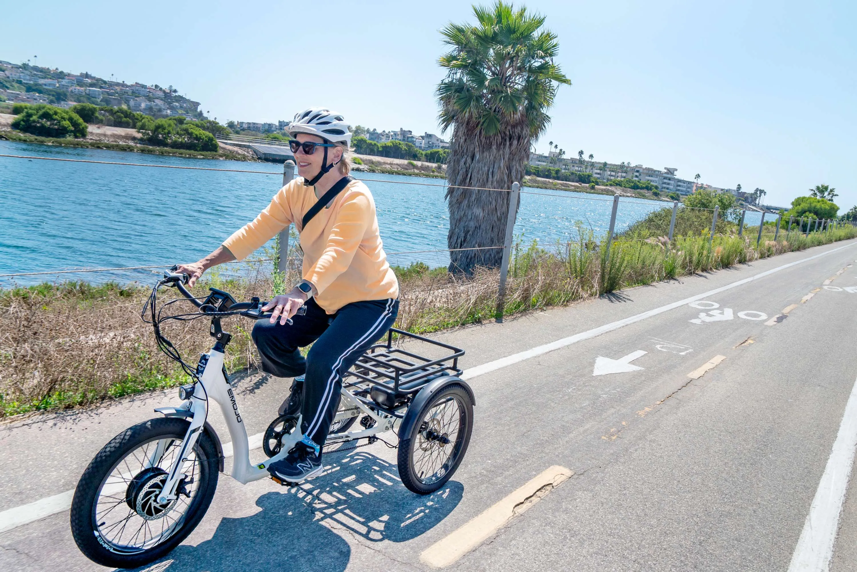 Emojo Bull 48v 500w Fat Tire Electric Trike