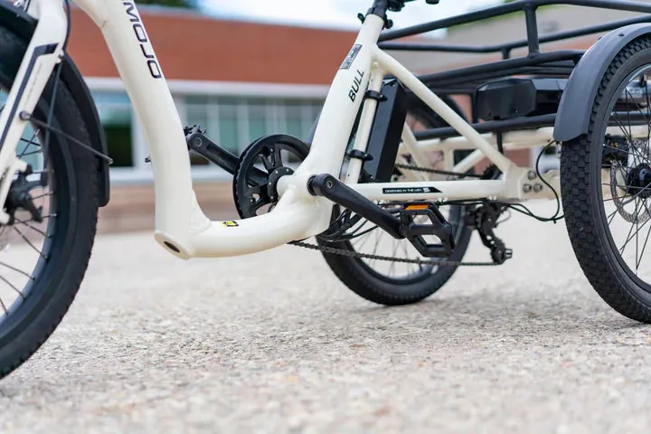 Emojo Bull 48v 500w Fat Tire Electric Trike