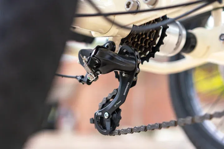 Emojo Bull 48v 500w Fat Tire Electric Trike