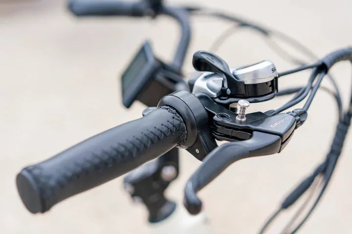 Emojo Bull 48v 500w Fat Tire Electric Trike